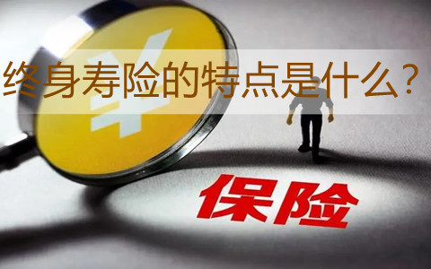 什么是终身人寿保险呢？