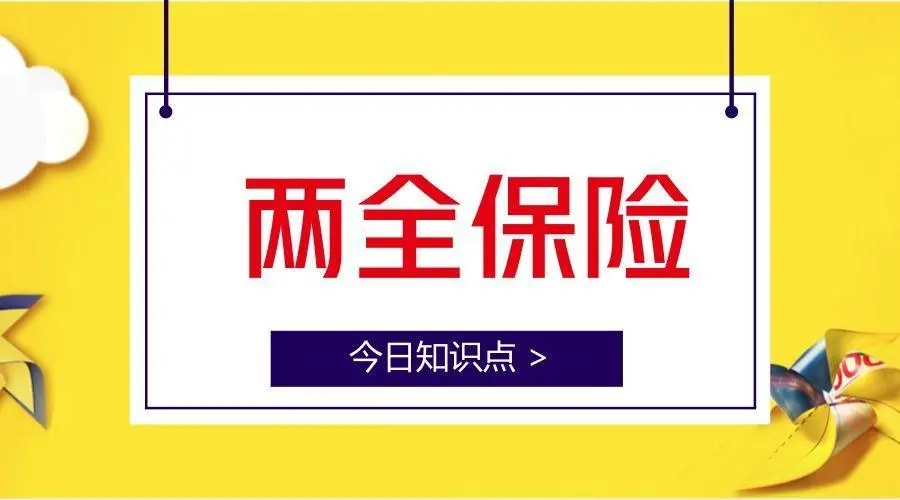 什么是生死两全保险？