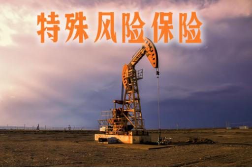 什么叫特殊风险保险？