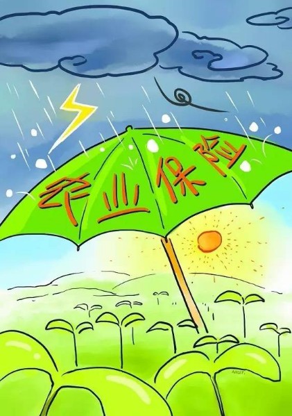 农业保险是不可或缺的吗？