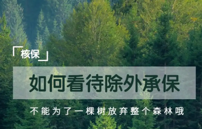 什么是除外承保？