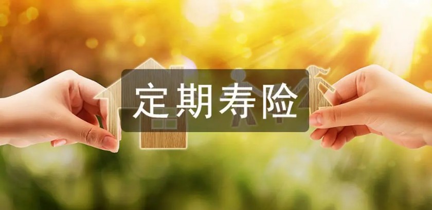 怎么选择定期寿险？